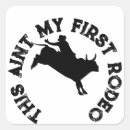 Search for aint stickers Western