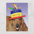 Search for golden retriever with cake Happy birthday