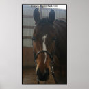 Search for quartering posters Animals