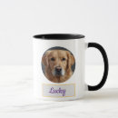Search for mugs Pet