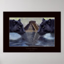 Search for black jaguar posters Jaguars