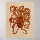Search for marine creatures posters Ocean