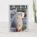 Search for baboon cards Monkey
