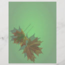 Search for maple leaves flyers Trees
