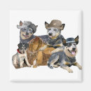 Search for heeler magnets Australian