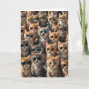 Search for from the cat birthday cards Humour