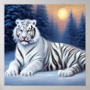 Search for white tiger posters Wild animals