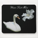 Search for white birds electronics Nature