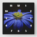 Search for daisy flower clocks Floral