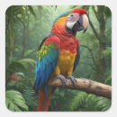 Search for pet bird stickers Jungle