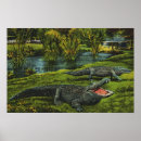Search for croc art Alligators