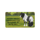 Search for gypsy vanner cards invites Tinker horse