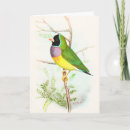Search for finch cards Australia