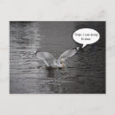 Search for deep postcards Nature