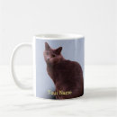 Search for russian blue cats mugs Kitty