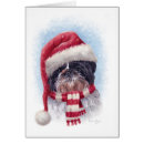 Search for shih tzu christmas cards Santa