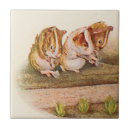 Search for nursery tiles Garden