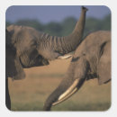 Search for game reserve stickers Environment
