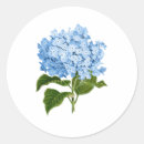 Search for blue hydrangea stickers Grandmillennial