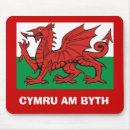 Search for byth Dragon