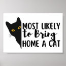 Search for most posters Cats