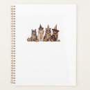Search for funny cat meme office supplies Cute