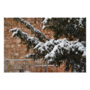 Search for snowfall posters Trees