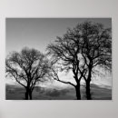 Search for black and white forest art Elegant