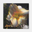 Search for lillies magnets Nature