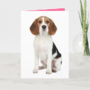 Search for beagle puppies cards Beagles