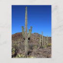 Search for 9 postcards Photography