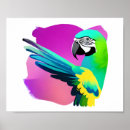 Search for vintage parrot art Tropical birds