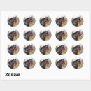 Search for clydesdale stickers Equestrian
