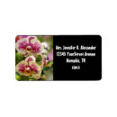 Search for orchid labels Black