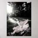 Search for b w posters Monochrome