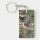 Search for painful key rings National park