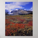 Search for canadian rockies mountains posters Scenic