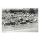 Search for flocking posters Antique