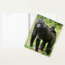 Search for small monkey photography Gorilla