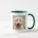 Search for mixed breed mugs Goldendoodle