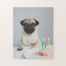 Search for pug puzzles Birthday