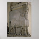 Search for ailing Assyrian