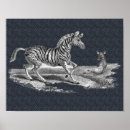 Search for vintage zebra posters Animal