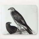 Search for galapagos mousepads English