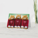 Search for three cats christmas cards Humour