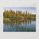 Search for northwest territory postcards Landscape