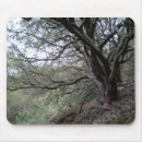 Search for spring tree mousepads Nature