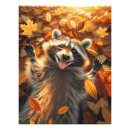 Search for funny raccoon posters Nature