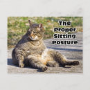 Search for sit postcards Pet