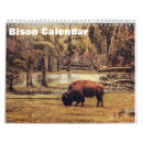 Search for bison calendars Prairie